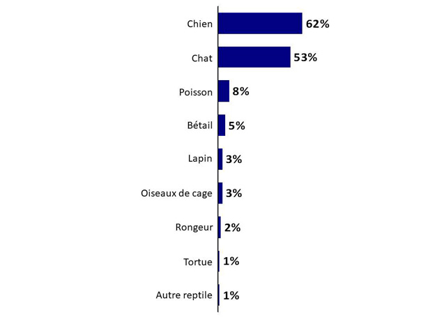 Graphique 3 : Type d'animaux de compagnie possédés. La version textuelle suit.