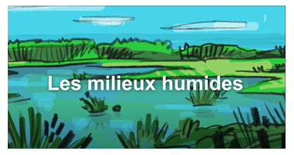 Une image d’un marais. L’expression « Les milieux humides » s’affiche à l’écran.