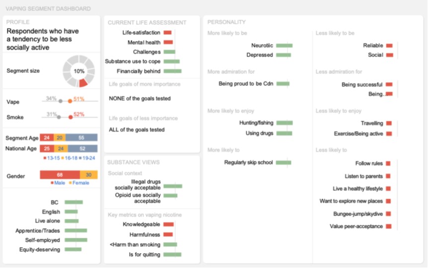 Dashboard of this segment visually representing the key results described above in the text.