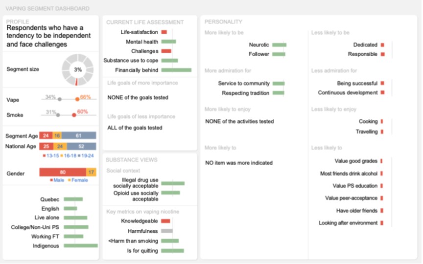 Dashboard of this segment visually representing the key results described above in the text.