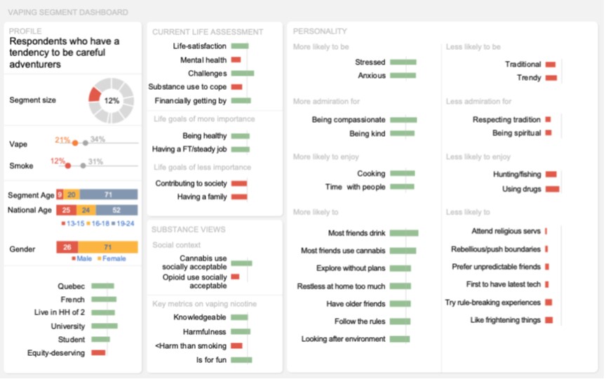 Dashboard of this segment visually representing the key results described above in the text.