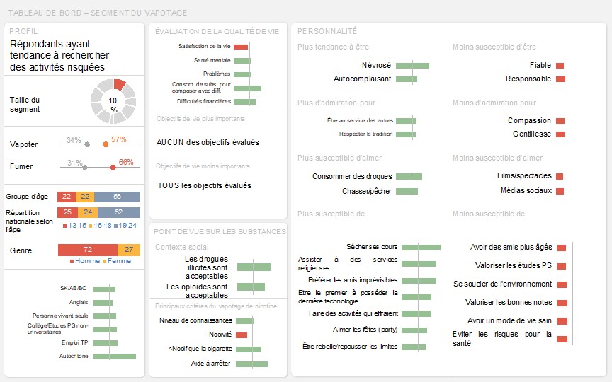 Tableau de bord de ce segment représentant visuellement les résultats clés décrit ci-dessus dans le texte.