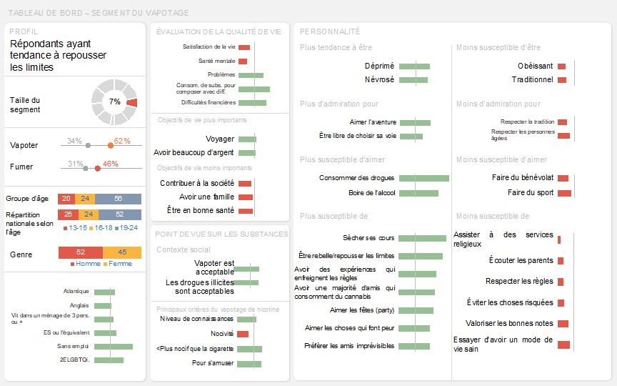 Tableau de bord de ce segment représentant visuellement les résultats clés décrit ci-dessus dans le texte.