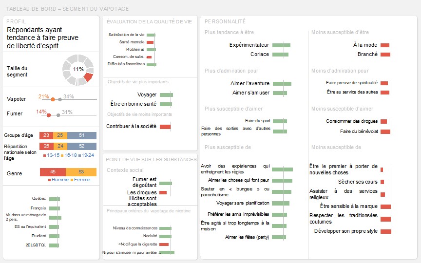 Tableau de bord de ce segment représentant visuellement les résultats clés décrit ci-dessus dans le texte.