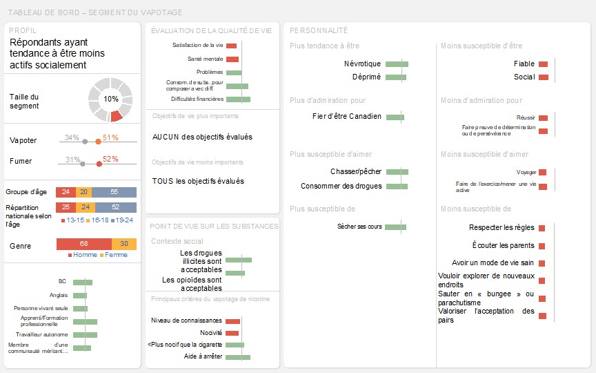 Tableau de bord de ce segment représentant visuellement les résultats clés décrit ci-dessus dans le texte. 