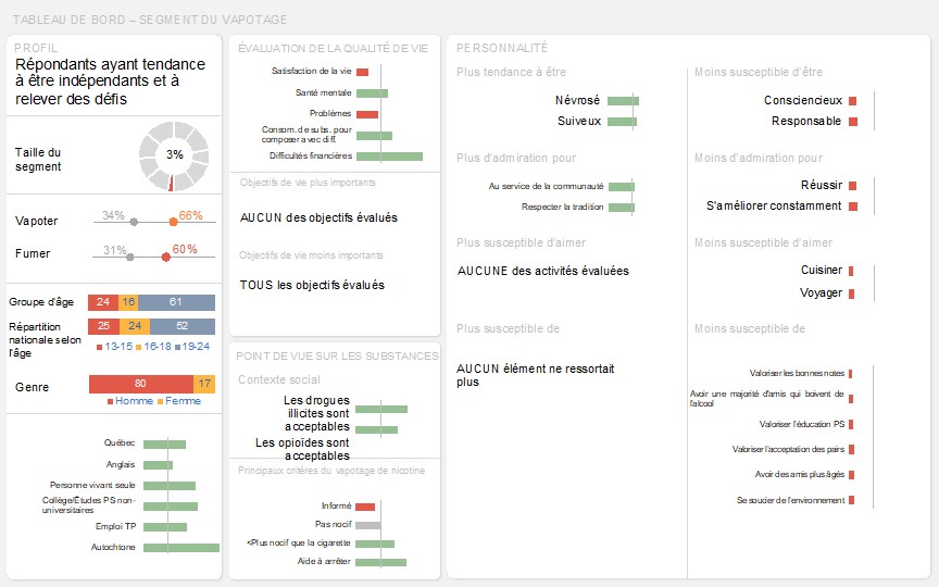 Tableau de bord de ce segment représentant visuellement les résultats clés décrit ci-dessus dans le texte.