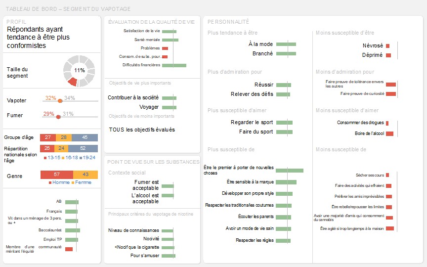 Tableau de bord de ce segment représentant visuellement les résultats clés décrit ci-dessus dans le texte.