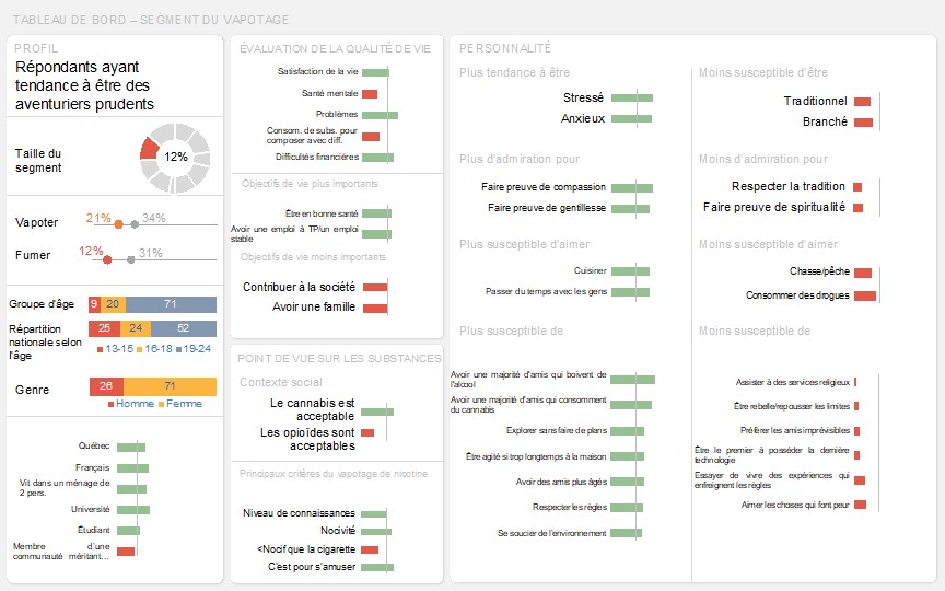 Tableau de bord de ce segment représentant visuellement les résultats clés décrit ci-dessus dans le texte.