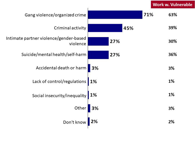 Chart 21: Perceived Causes of Firearms Violence. Text version below.