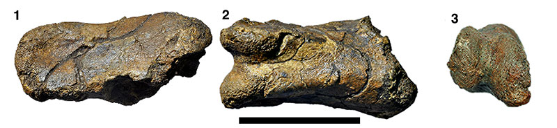 figure 18