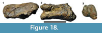 s figure 18