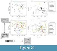 s figure 21