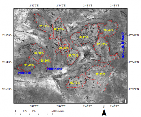 Figure 11. Pourcentage de disparition de la brousse tigrée aux alentours de Kirib Kaina entre 1965 et 2010.