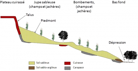 Figure 2. Toposéquence type du Fakara (redessiné ; source : Courault et al., 1990).
