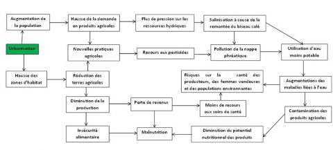 Figure 8. Modèle d’analyse de la synergie entre l’urbanisation et AU.