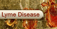 Lyme Disease