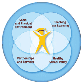 Social and Physical Environment, Teaching and Learning, Partnerships and Services, Healthy School Policy